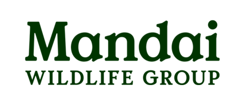 MANDAI